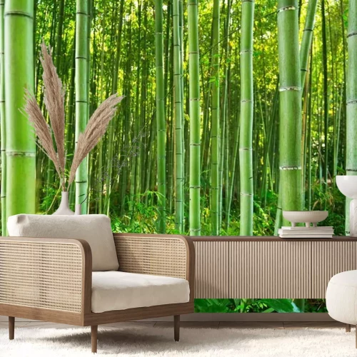 Fototapete Grüner Bambuswald