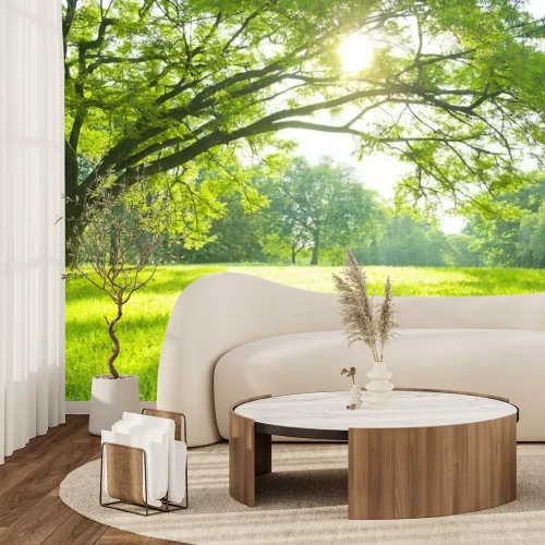 Fototapete Grüne Wiese in der Sonne