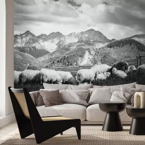 Fototapete Berge schwarz-weißes Panorama