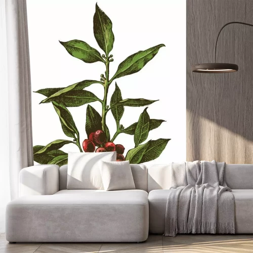 Sticker Hand gezeichneter Kaffeebaum Zweig