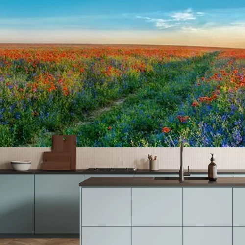 Fototapete Großes Panorama von Mohnblumen und Glockenblumen Feld mit Pfad