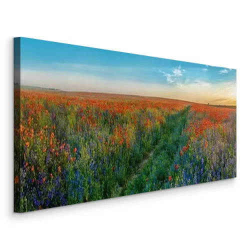 Bild Großes Panorama von Mohnblumen und Glockenblumen Feld mit Pfad