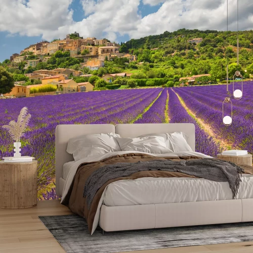 Fototapete Lavendelfeld in der französischen Provence