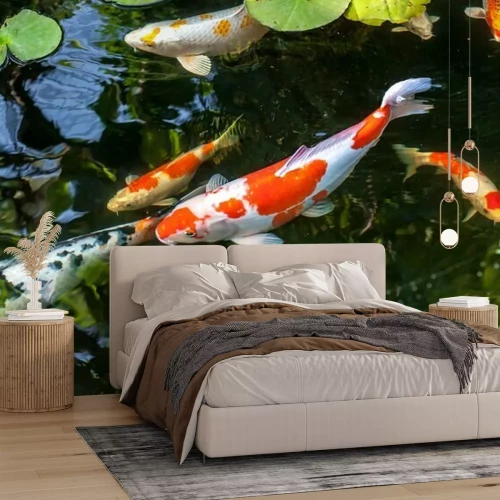 Fototapete Fische schwimmen im Grünen