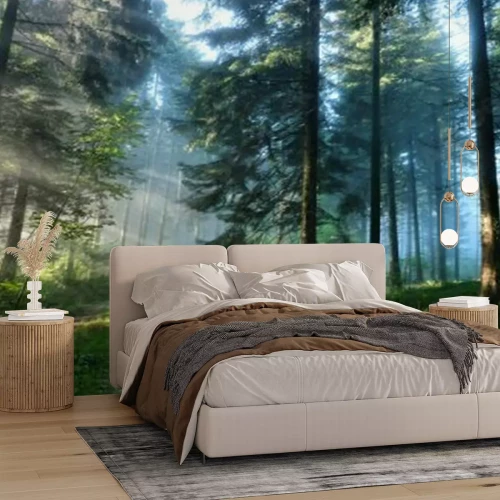 Fototapete Neblige Landschaft eines grünen Waldes