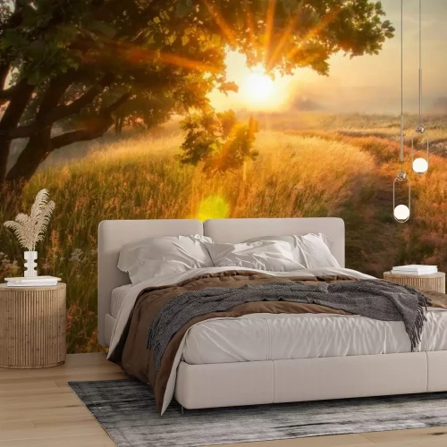 Fototapete Landschaft einer Lichtung bei Sonnenaufgang