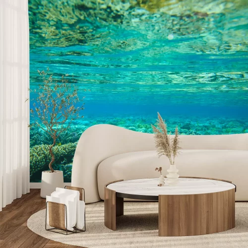 Fototapete Meeresboden mit Pflanzen