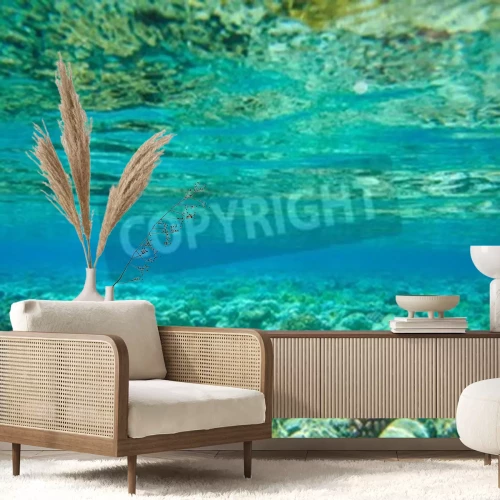 Fototapete Meeresboden mit Pflanzen