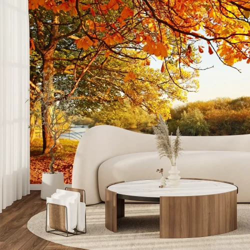 Fototapete Herbstlandschaft im Park