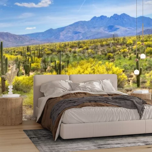 Fototapete Wüste Pflanzen in Arizona