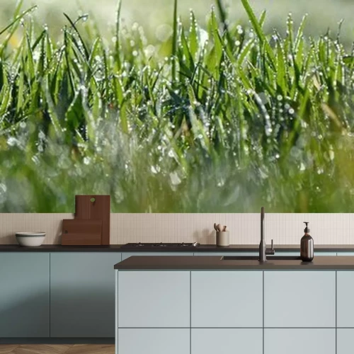 Fototapete Gras mit Tau in der Sonne