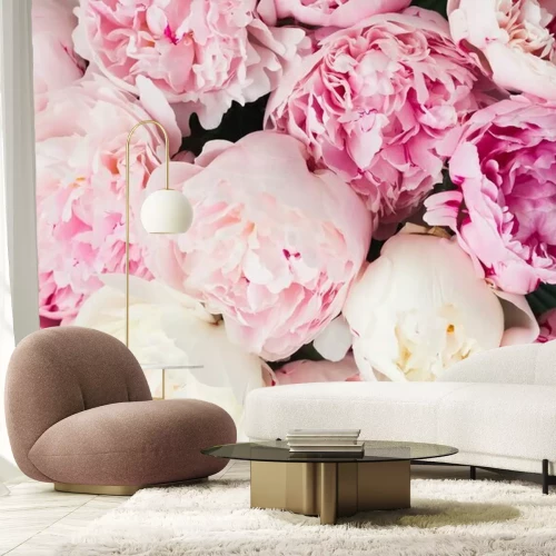 Fototapete Rosa floral background von frischen rosa Pfingstrose Blumen Knospen