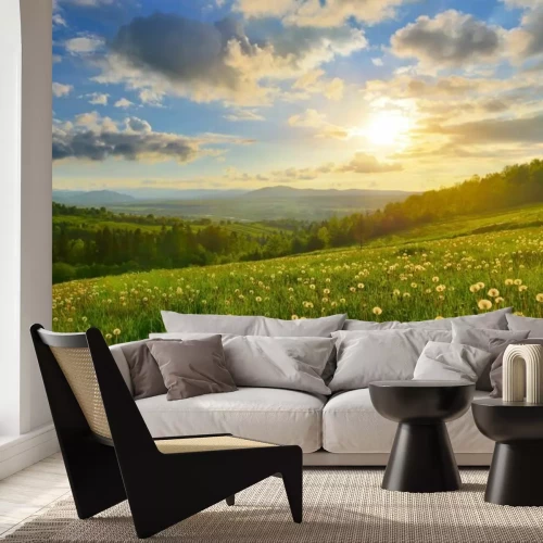 Fototapete Löwenzahn auf weiten Wiesen