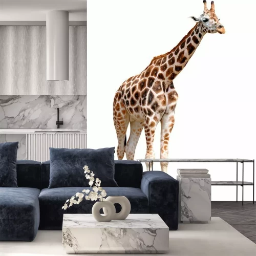 Sticker Wilde Tiere Giraffe mit langen Beinen