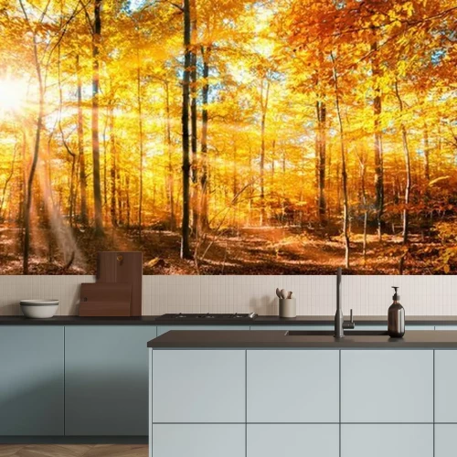 Fototapete Wald Panorama im goldenen Herbst