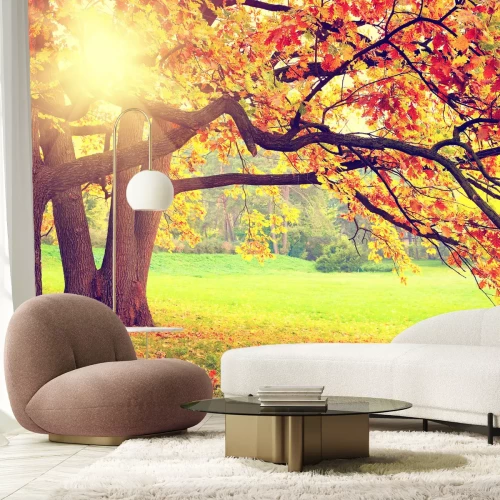 Fototapete Sonnenaufgang im Herbstwald