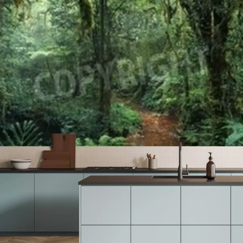 Fototapete Dunkler düsterer Dschungel