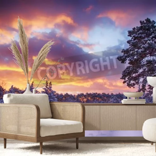 Fototapete Sonnenaufgang Wald im Schnee