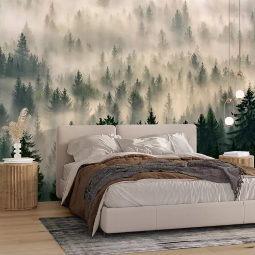 Fototapete Wald hinter dem nebel