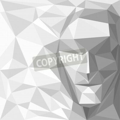 Fototapete Geometrische Form 3D mit Gesicht