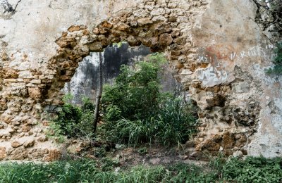 Fototapete Dschungel hinter einem Loch in der Wand