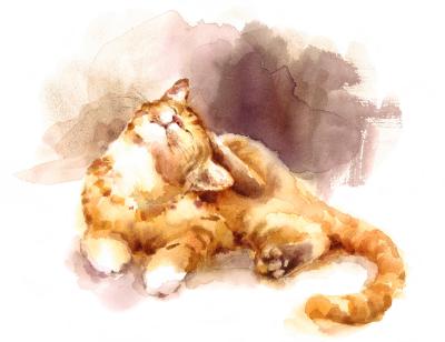 Fototapete 3D Katze in Aquarell