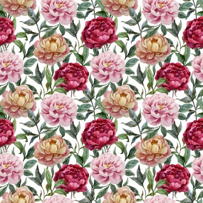 Bild Mehrfarbige Blumen auf weißem Hintergrund