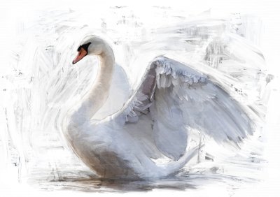 Bild Ein Schwan, der seine Flügel ausbreitet