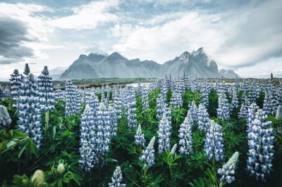 Fototapete Natur Gebirge