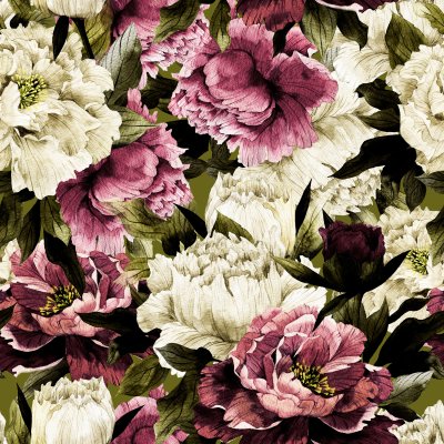 Bild Weiße und rote Rosen