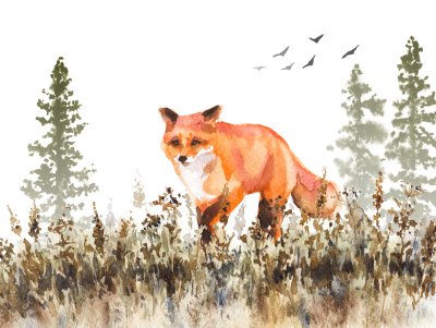 Bild Aquarell-Fuchs im Wald
