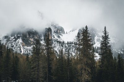 Poster Die schneebedeckten Dolomiten, eingehüllt in Winternebel.