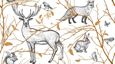 Sticker Waldtiere verstecken sich hinter Ästen