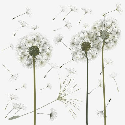 Fototapete Pusteblumen im Retro-Stil