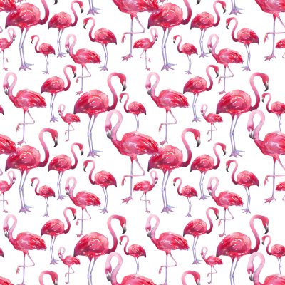 Fototapete Rosa Vögel auf weißem Hintergrund