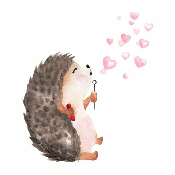 Sticker Hand drawn watercolor hedgehog blowing heart shaped bubbles