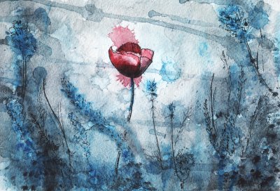 Fototapete Roter Mohn zwischen blauen Blumen