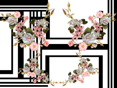 Fototapete Rhizome auf schwarz-weißer Geometrie