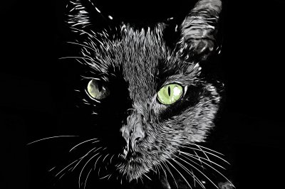 Sticker Porträt einer Katze mit glänzendem Fell