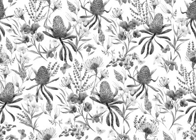 Bild Schwarz-weiße Blumen aus den Tropen