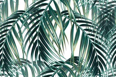 Poster Natur tropische Pflanzen