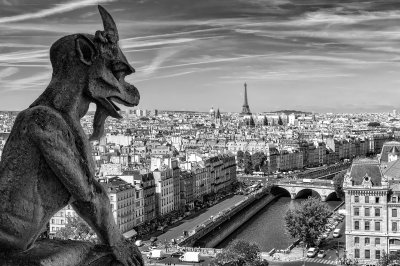 Bild Paris Notre Dame in Monochrom