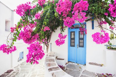 Fototapete Traditionelles griechisches Haus mit Blumen in Paros-Insel, Griechenland
