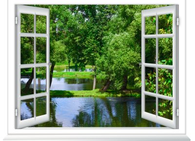Fototapete Blick aus dem Fenster in den Gewässer und den Baum im Sommer