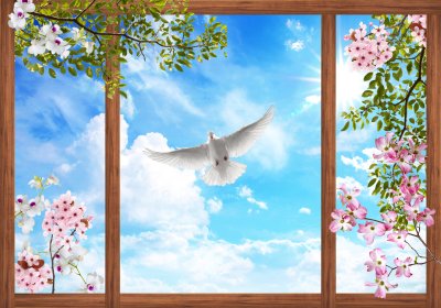 Fototapete Fenster mit Blick auf blühende Zweige und eine weiße Taube