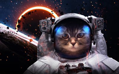 Fototapete Brave cat astronaut at the spacewalk. This image elements furnished by NASA