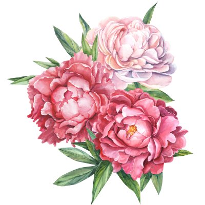 Sticker Große Blüten mit drei Knospen