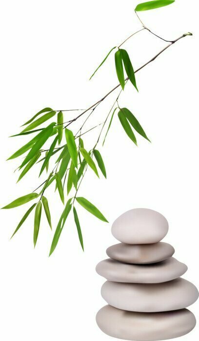 Sticker Isolated grey stones and green bamboo illustration