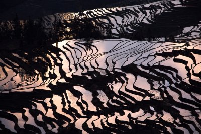Fototapete Sonnenuntergang spiegelt sich im Feld