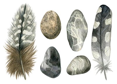 Sticker Gezeichneter Satz des Aquarells Hand graue Vogelfedern und -kiesel. Bunte Boho-Sammlung lokalisiert auf weißem Hintergrund